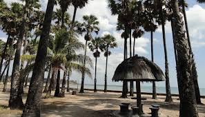 5 Destinasi Wisata Hits di Kupang: Dari Pantai Eksotis hingga Gua Kristal yang Memukau