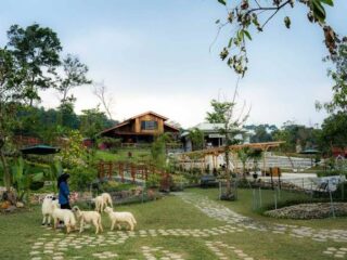 5 Wisata Sentul Terbaru 2025 yang Lagi Hits, Cocok Buat Healing Tipis-tipis di Long Weekend